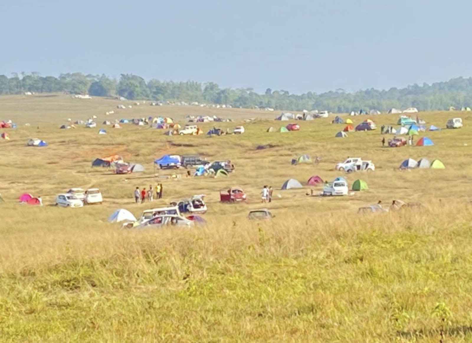 Falcon Festival Image 3