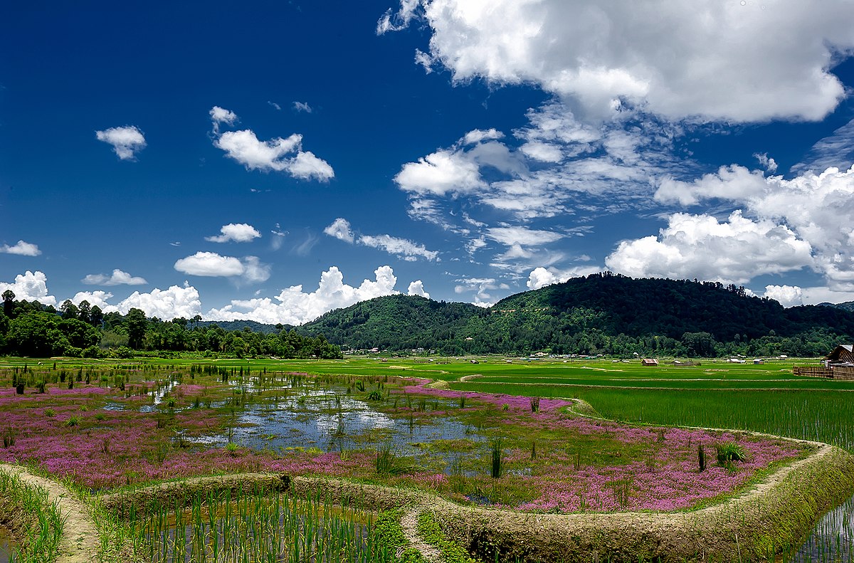 Ziro Tour Package (5D/4N) Image 2